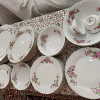 ظروف گلسرخی نو
