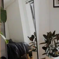 آینه قدی دور چوب