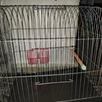 قفس پرنده