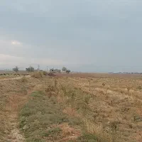 ۲۶۰۰متر زمین کشاورزی با سهم آب