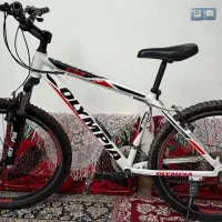 دوچرخه