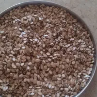تخمک هندوانه خام