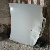 کاپوت زانتیا