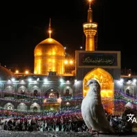 کبوتران حرم