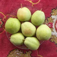 گلابی،