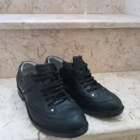 کفش مجلسی