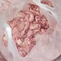 بچه فیله درجه ۱  ارسال به کل تهران دارم ۳۲۰