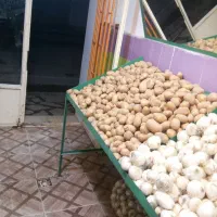 تجهیزات میوه فروشی قفسه اینه