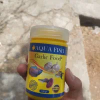 حلزون ، غذای ماهی.