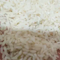 برنج چمپای میداوود