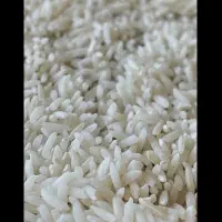 برنج طارم ایرانی