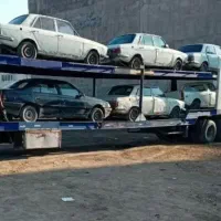 اوراقی  و اسقاطی  کریمی