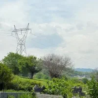 روبروی-جنگل-ویلاتو-بساز-با-سند-تکبرگ