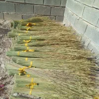 جارو دستی