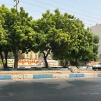 آپارتمان-3-خواب-متراژ-230-متر-طبقه-7-الهیه-جنوبی