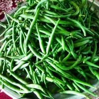 لوبیا سبز آبی
