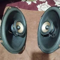باندخربزه ای  آلپاین