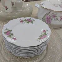 ظروف سرو