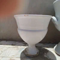گلدان|گل و گیاه طبیعی|بیرجند, |دیوار