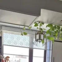 پرده زبرا