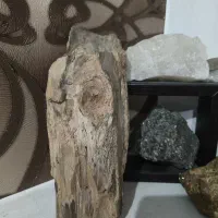 سنگ فسیل