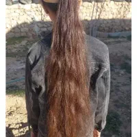 مو خرمایی