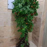 درخت مصنوعی آلبالو