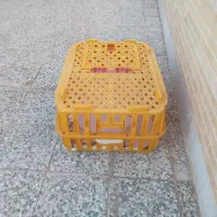 سبد حمل مرغ زنده
