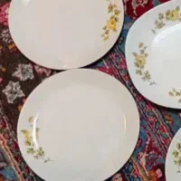 ظروف چینی