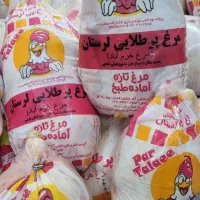 مرغ گرم روز