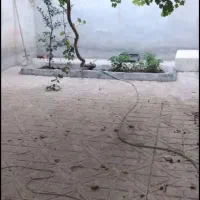 فروش منزل ویلایی196متری/پارکینگ دار/دکتر حسابی