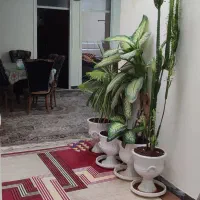 اجاره-خانه-مستقل-امامت