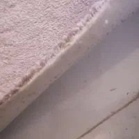 موکت پرز بلند