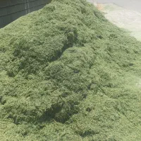یونجه درجه یک
