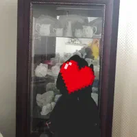 سرویس چوب