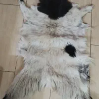 پوست طبیعی
