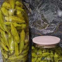 ترشی خونگی