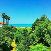 زمین  500 متری  مجتمع کندولوس