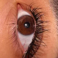 اکستنشن مژه