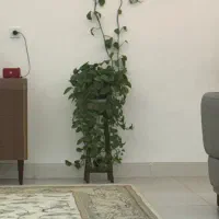 80-متر-دو-خواب-تکواحدی