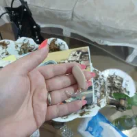 سمعک|پزشکی|شهر ری, هاشم‌آباد|دیوار