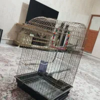 قفسه پرنده