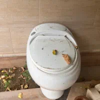 سرویس فرنگی