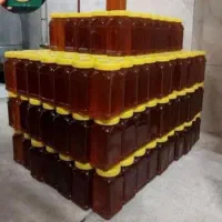 زنبور عسل