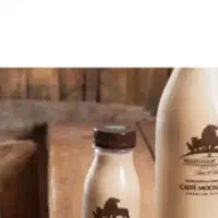 طراحی سایت