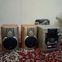 ظبط