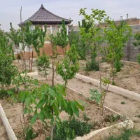باغ شهرکی 518 مترعرب آباد سند تک برگ