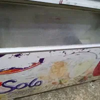 فلیزر
