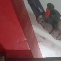 مینی فرزدرحد