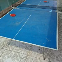 میز پینگ پنگ